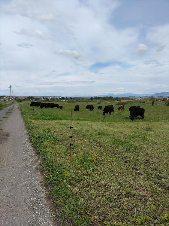 Rod Ranch Livestock - Appartamento Con Camino E Vista Piscina Campagnano Di Roma Esterno foto