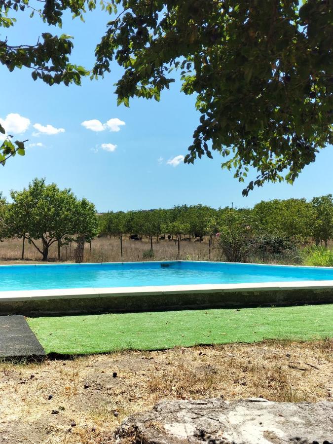 Rod Ranch Livestock - Appartamento Con Camino E Vista Piscina Campagnano Di Roma Esterno foto